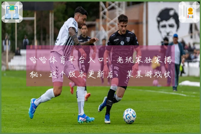 哈哈体育平台入口：老玩家独家揭秘，这个版本更新后，某某游戏收益竟能翻倍！