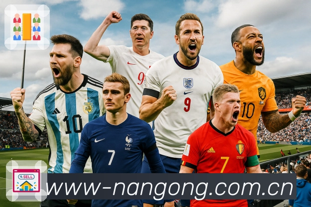 买球五大服务线展示